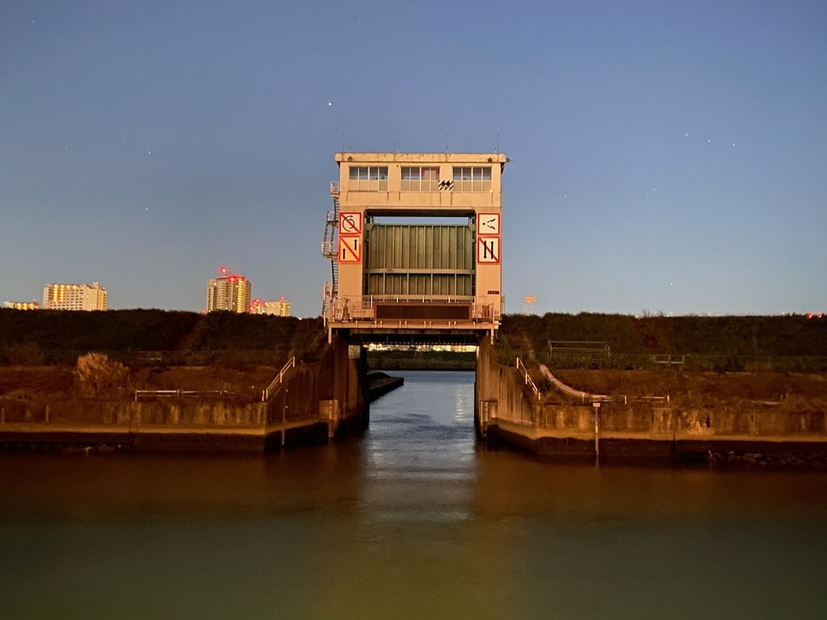 f:id:TrpFrog:20211205161923j:plain