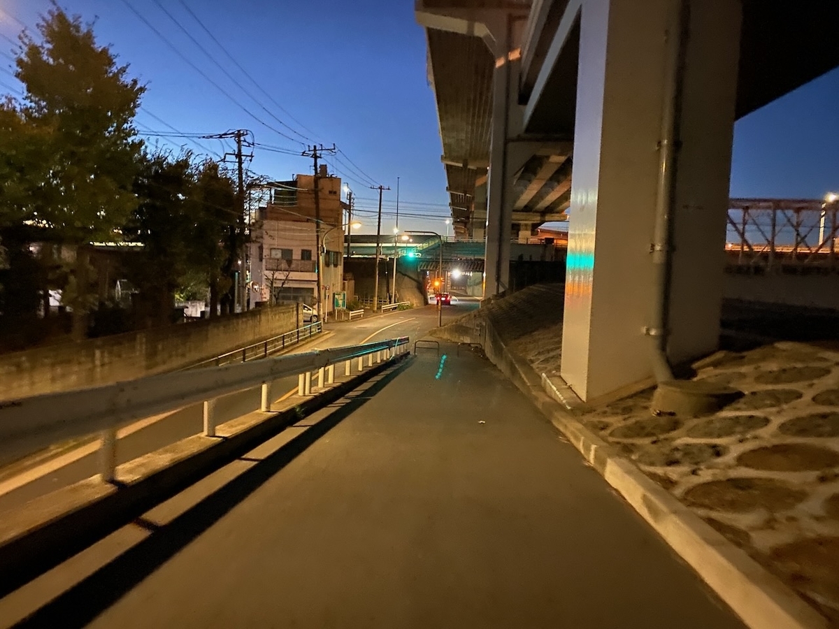 f:id:TrpFrog:20211205162011j:plain