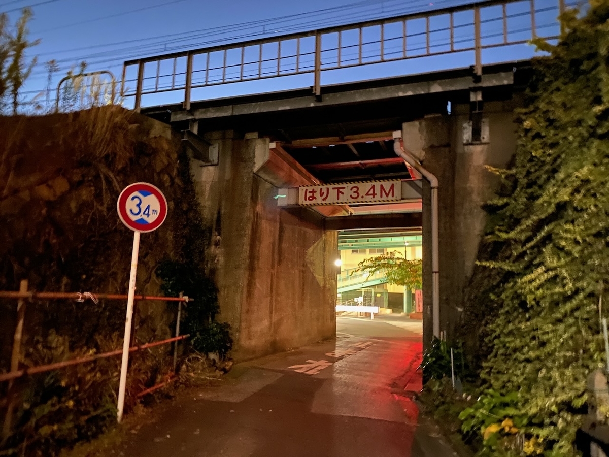 f:id:TrpFrog:20211205162944j:plain