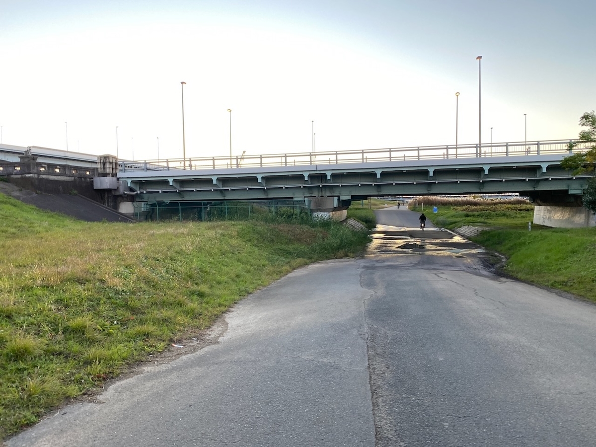 f:id:TrpFrog:20211205165554j:plain