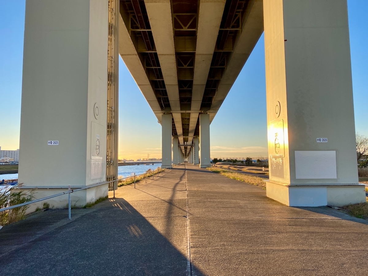 f:id:TrpFrog:20211205170635j:plain