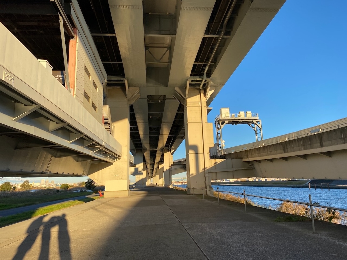 f:id:TrpFrog:20211205170955j:plain