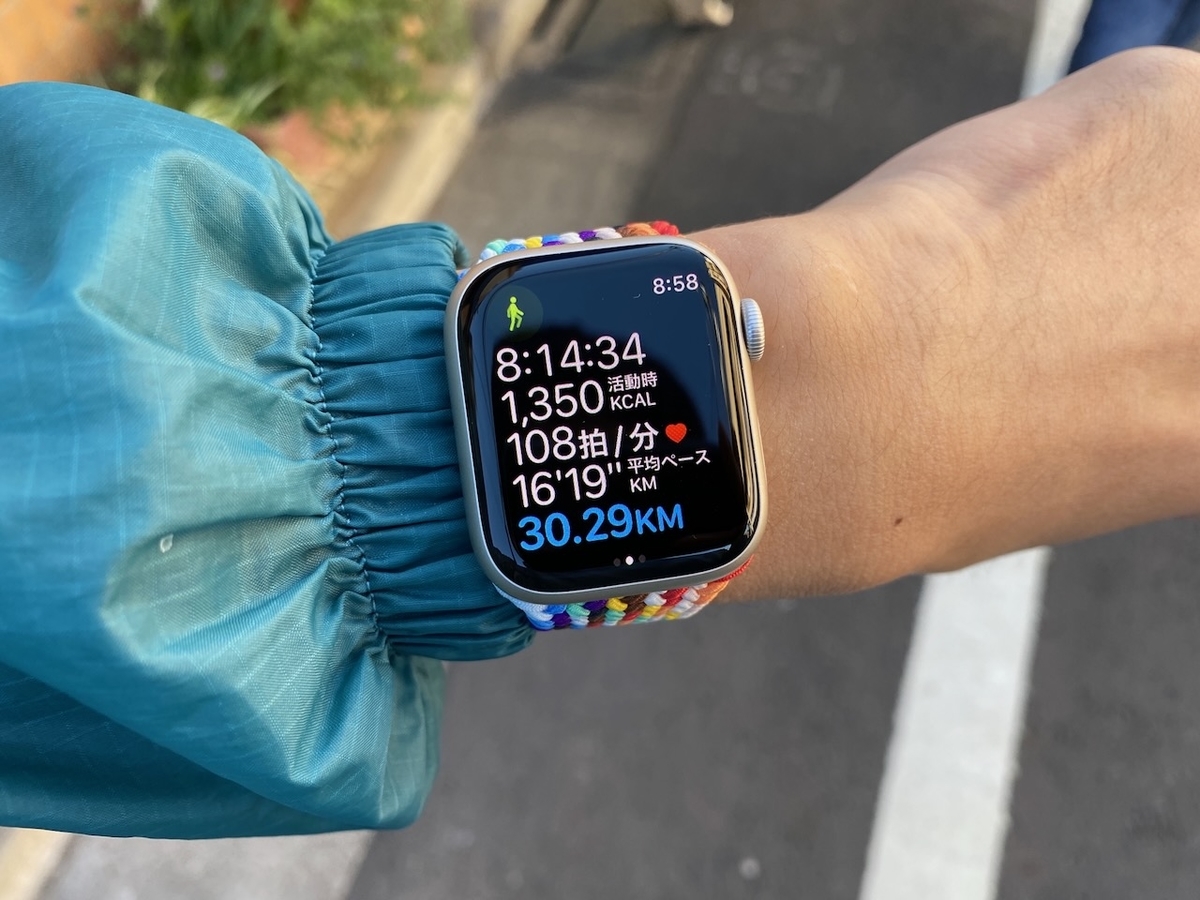 f:id:TrpFrog:20211205173932j:plain