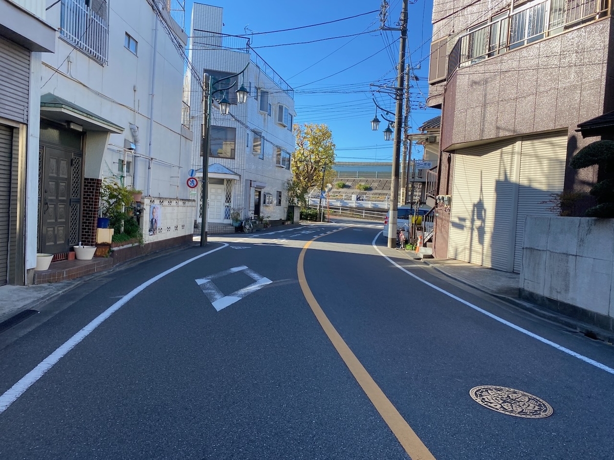 f:id:TrpFrog:20211205174116j:plain