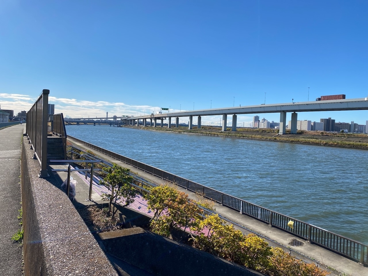 f:id:TrpFrog:20211205174223j:plain