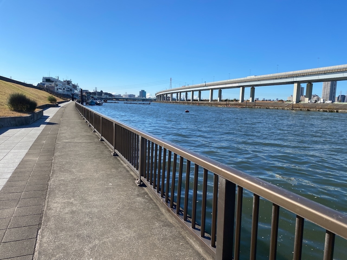 f:id:TrpFrog:20211205175049j:plain