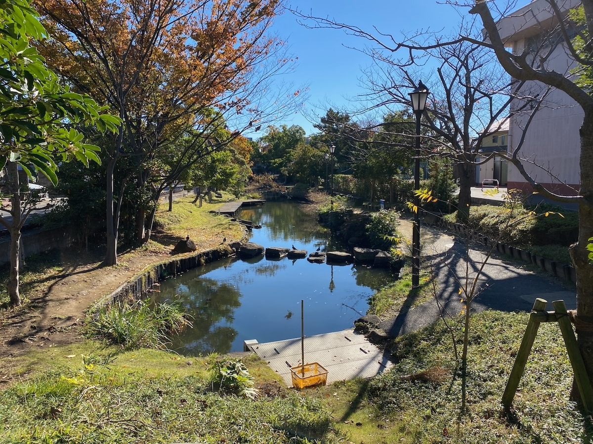 f:id:TrpFrog:20211205175611j:plain