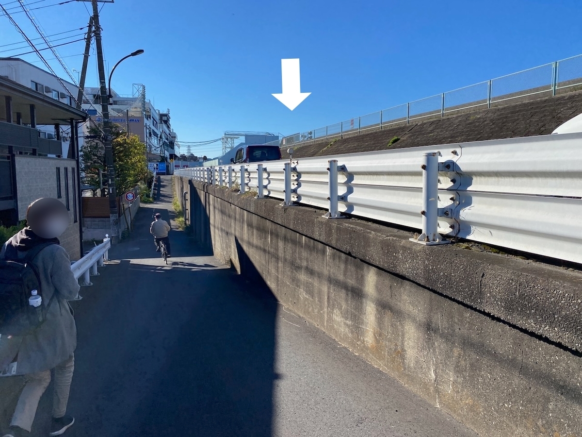 f:id:TrpFrog:20211205180231j:plain