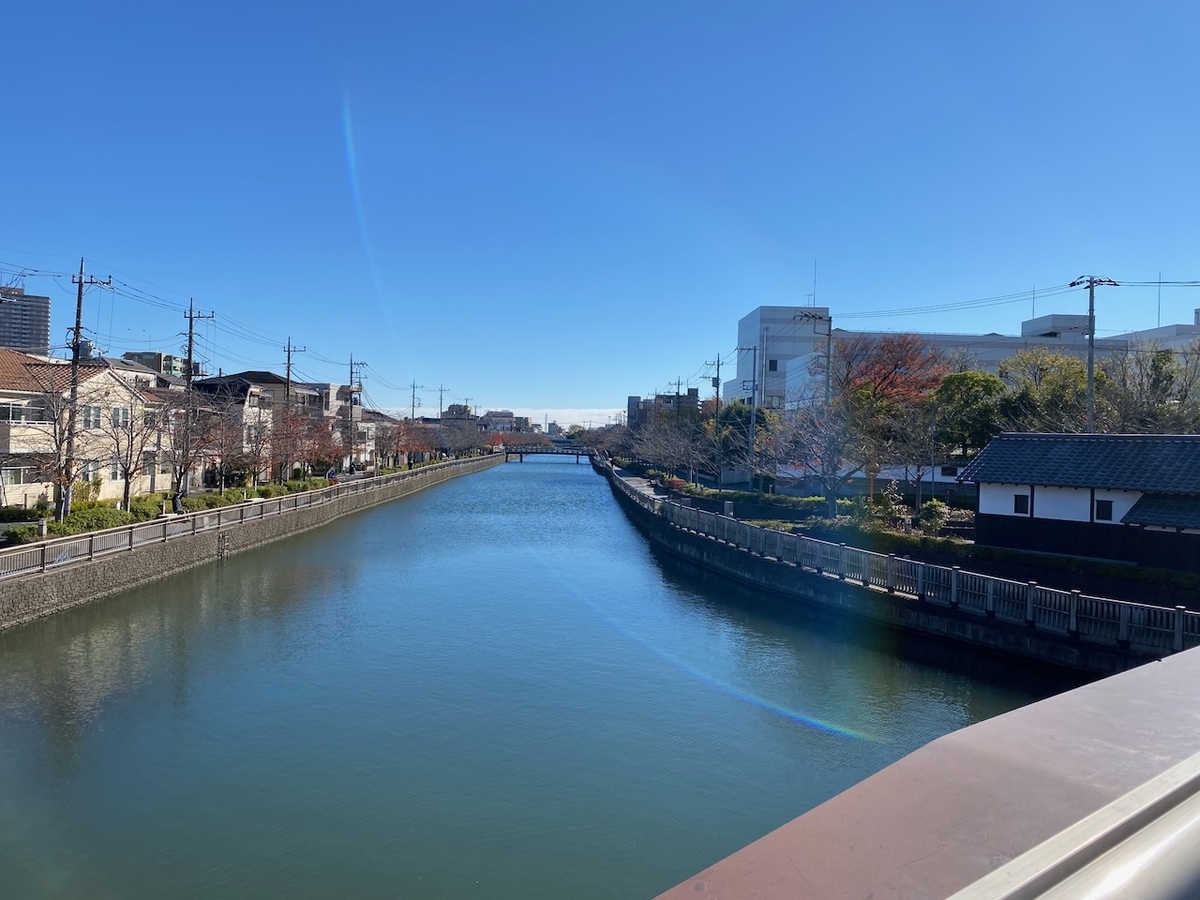 f:id:TrpFrog:20211205181013j:plain