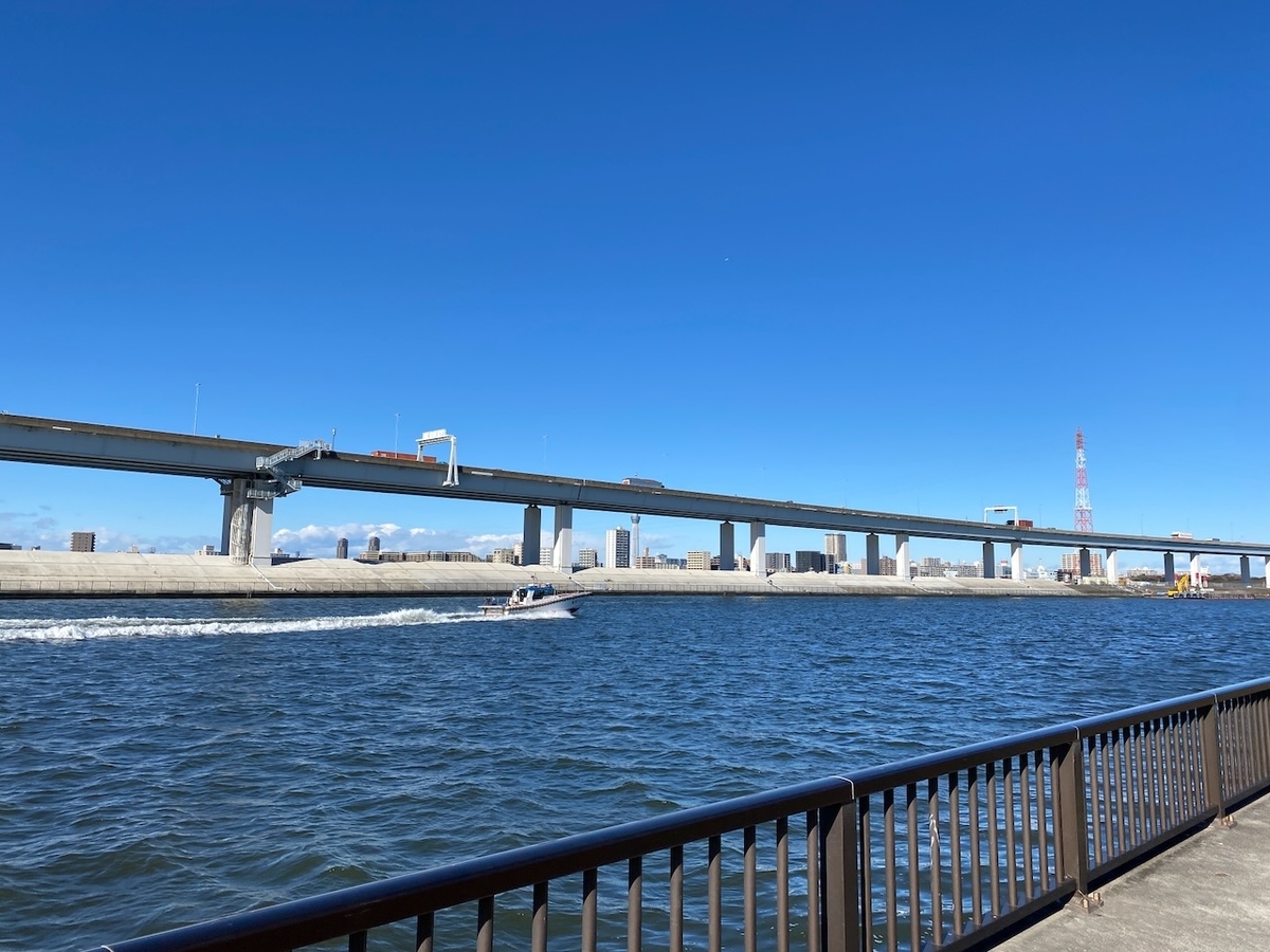 f:id:TrpFrog:20211205181910j:plain