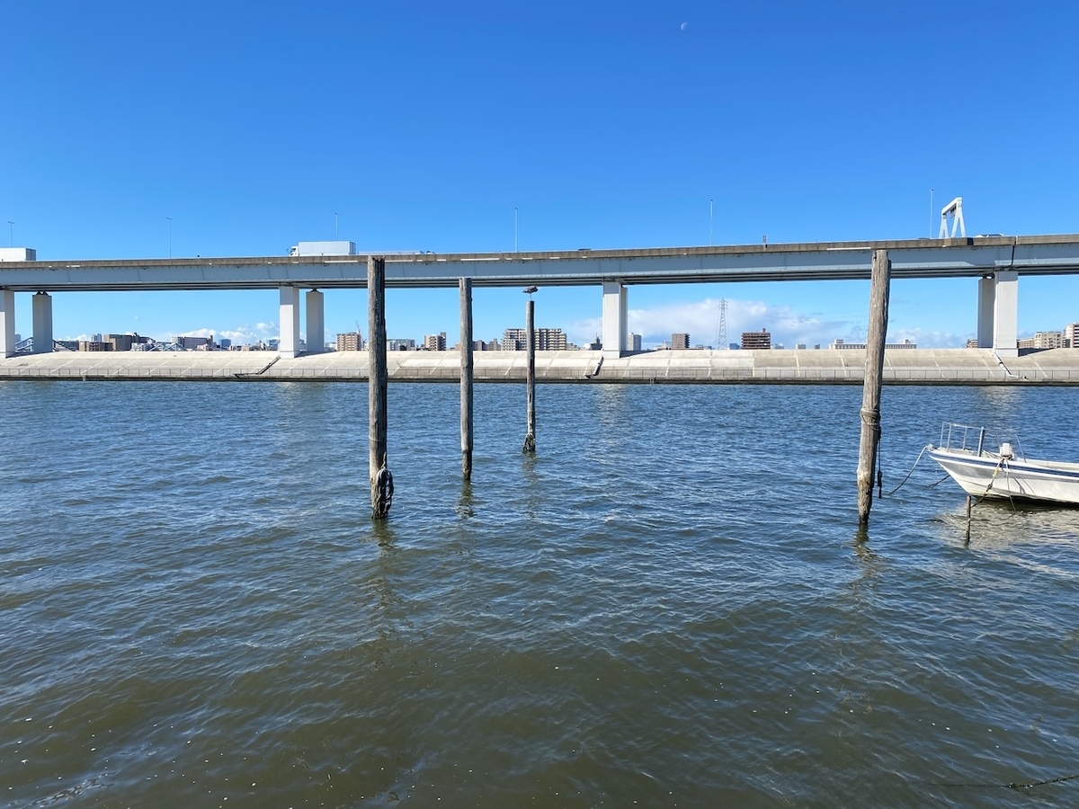 f:id:TrpFrog:20211205181934j:plain