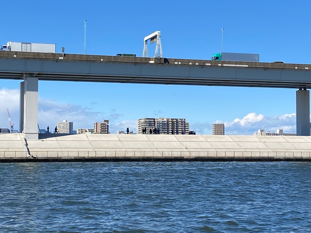 f:id:TrpFrog:20211205182029j:plain