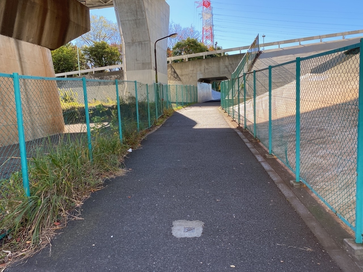 f:id:TrpFrog:20211205182113j:plain