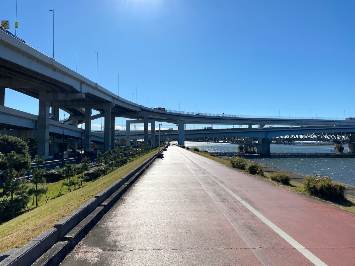 f:id:TrpFrog:20211205182719j:plain