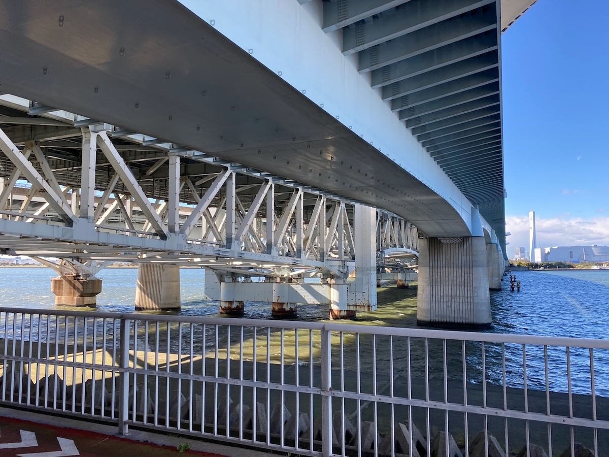 f:id:TrpFrog:20211205182939j:plain