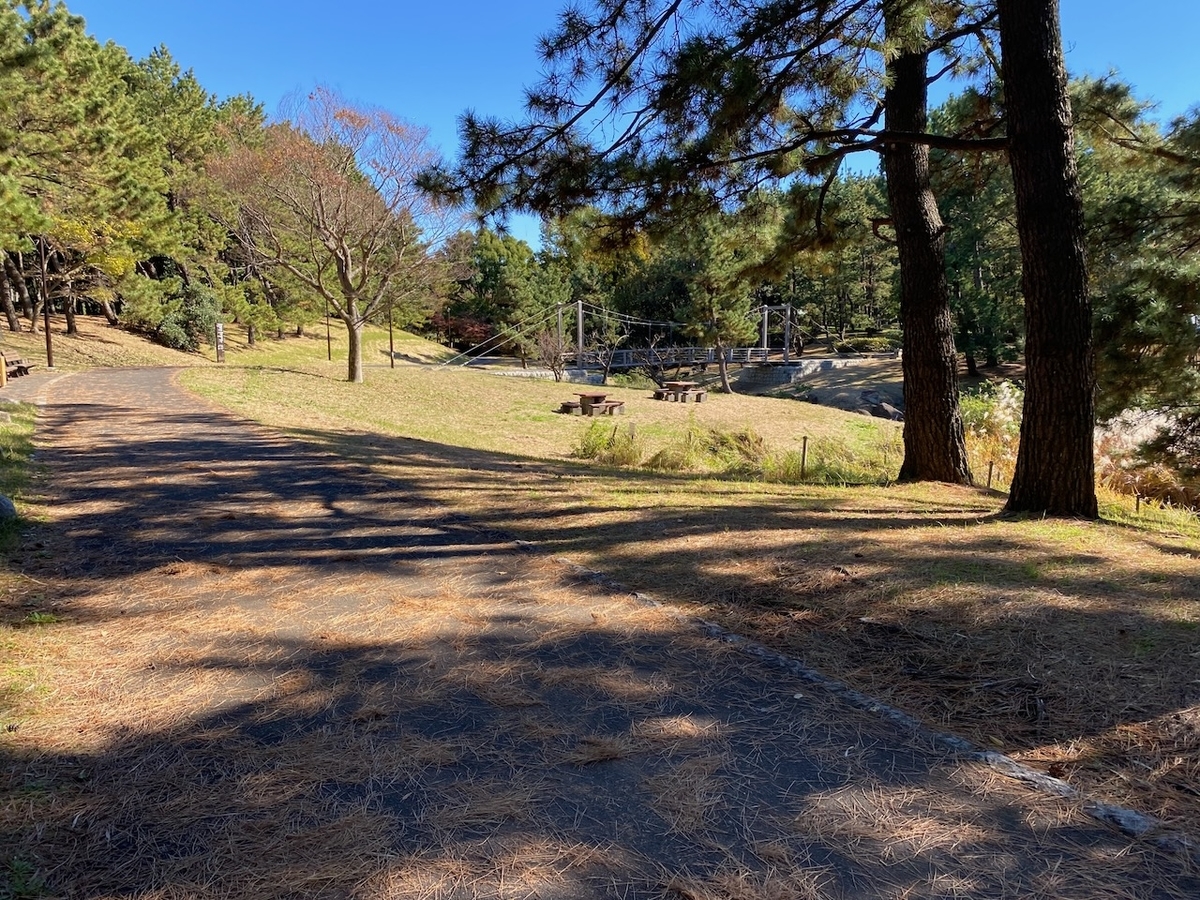 f:id:TrpFrog:20211205184754j:plain