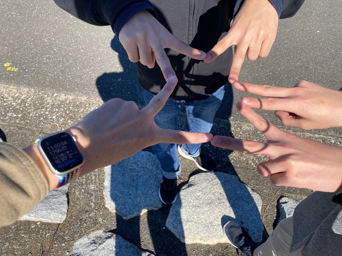 f:id:TrpFrog:20211205185102j:plain