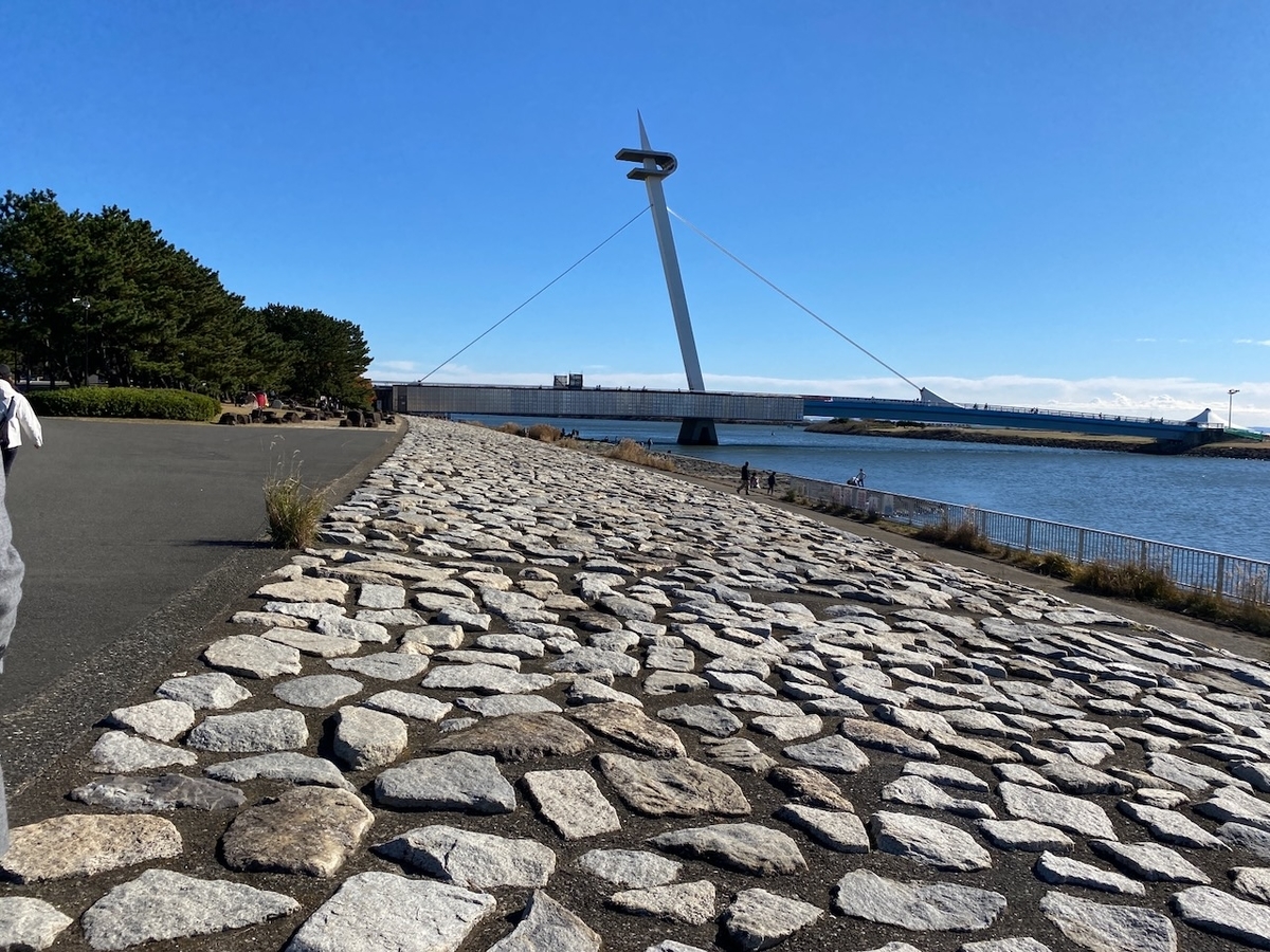 f:id:TrpFrog:20211205185334j:plain