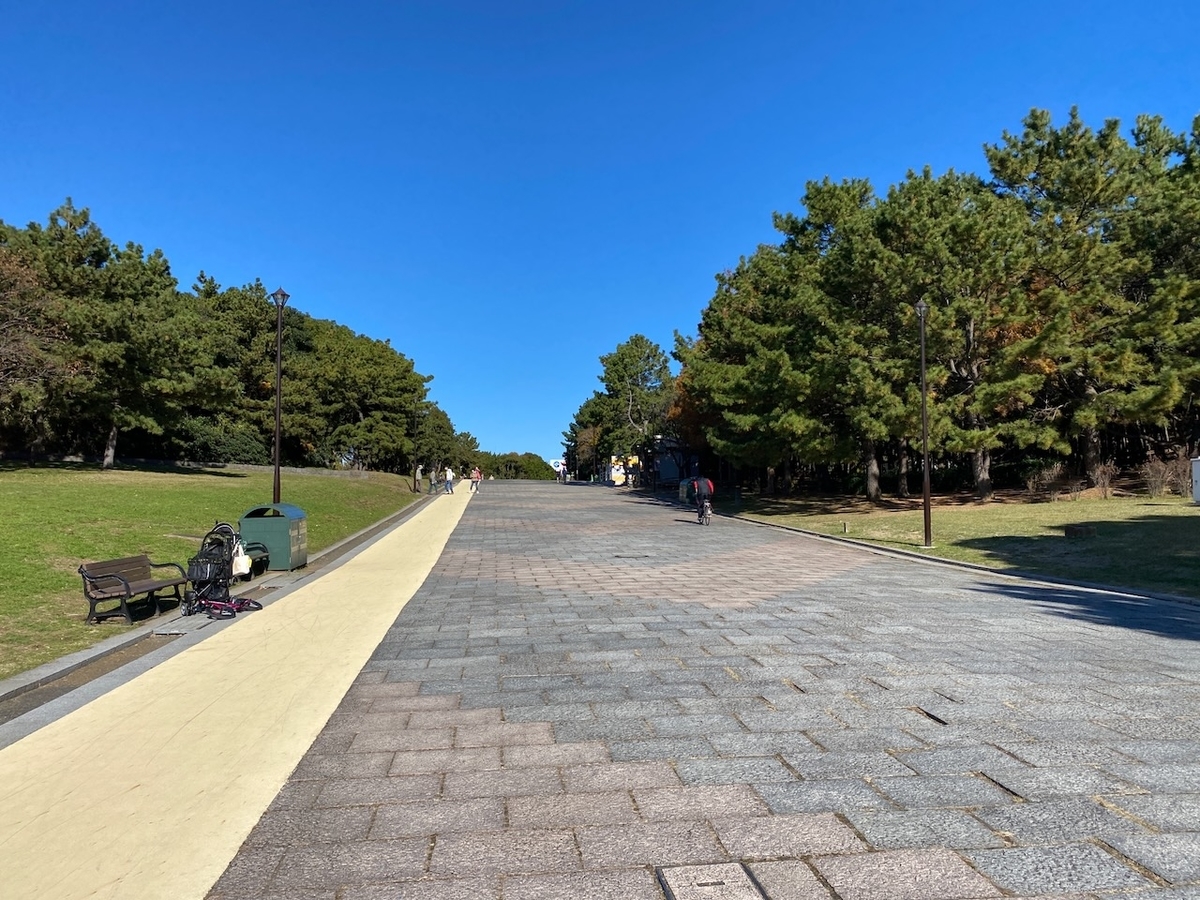 f:id:TrpFrog:20211205185610j:plain