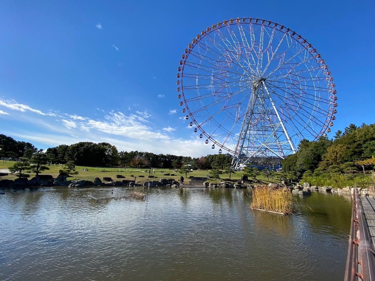 f:id:TrpFrog:20211205185642j:plain