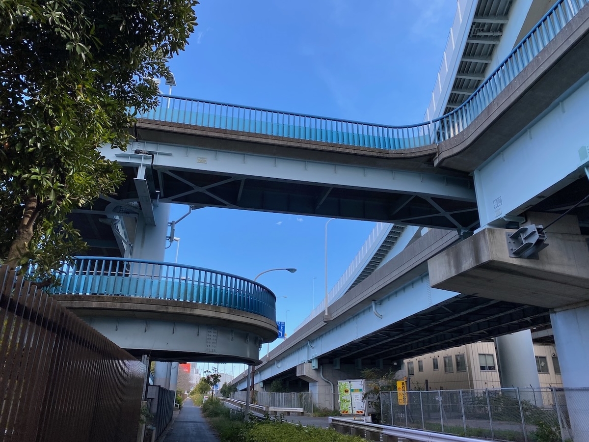 f:id:TrpFrog:20211205190217j:plain