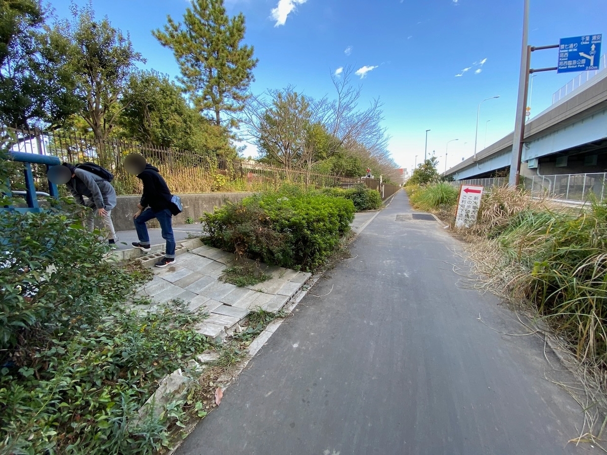 f:id:TrpFrog:20211205190334j:plain