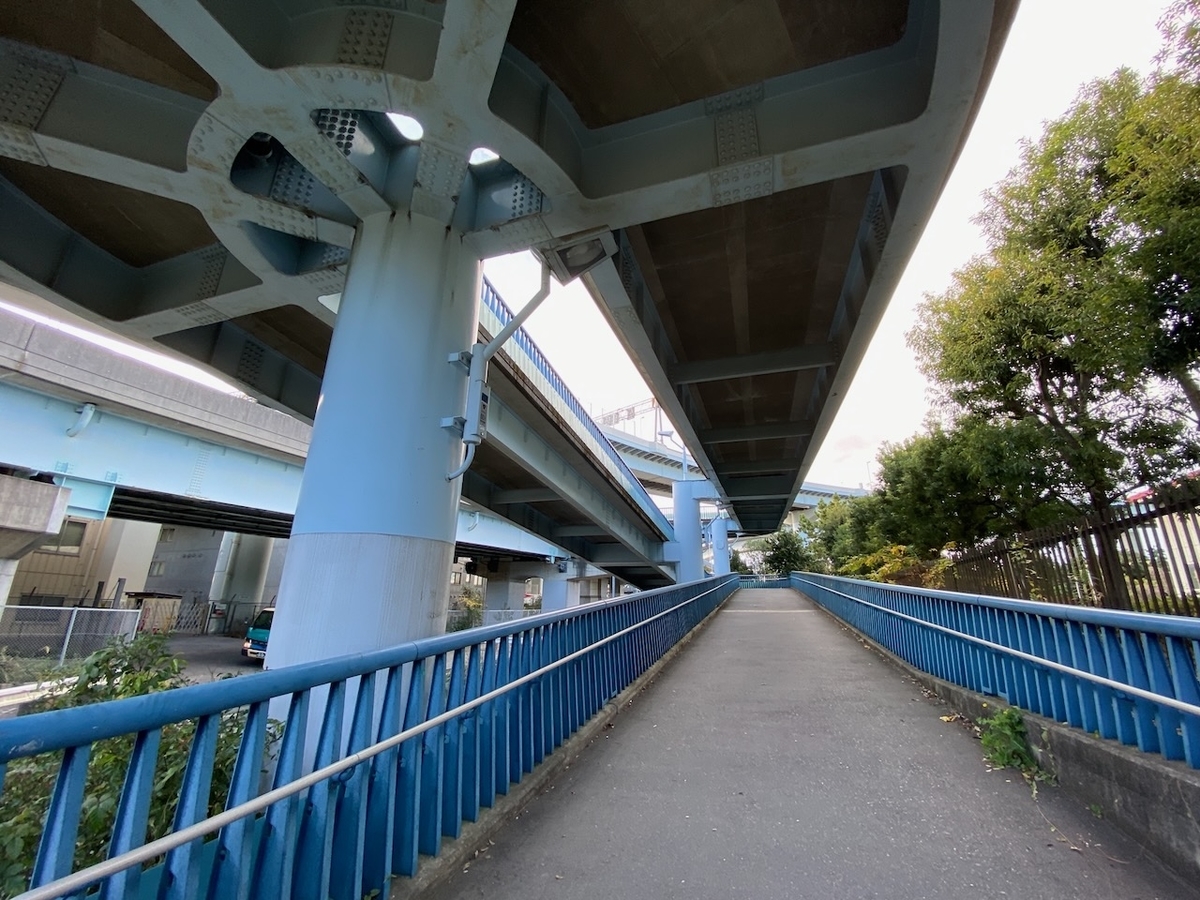 f:id:TrpFrog:20211205190434j:plain