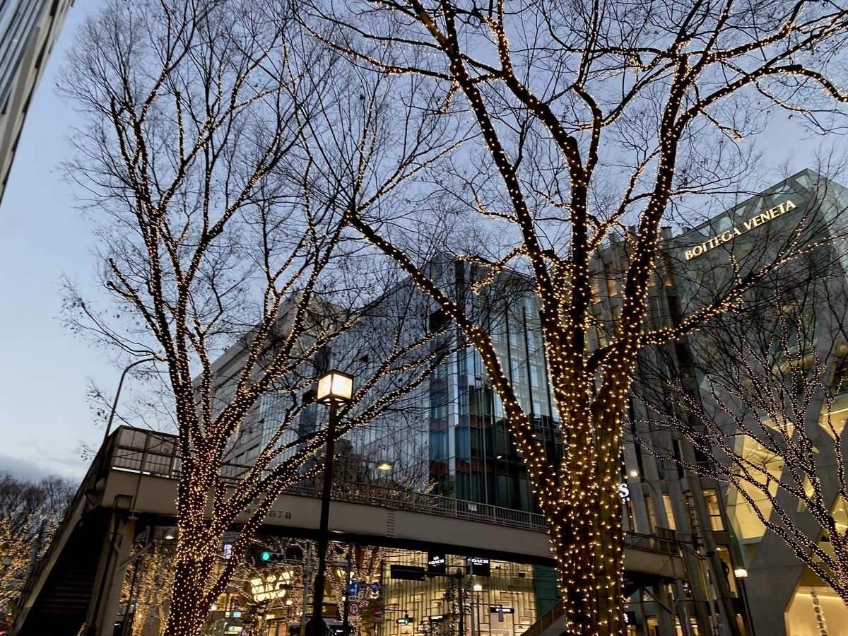 f:id:TrpFrog:20211226025339j:plain