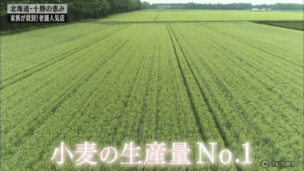 f:id:Truetears:20190829234127p:plain f:id:Truetears:20190829234127p:plain