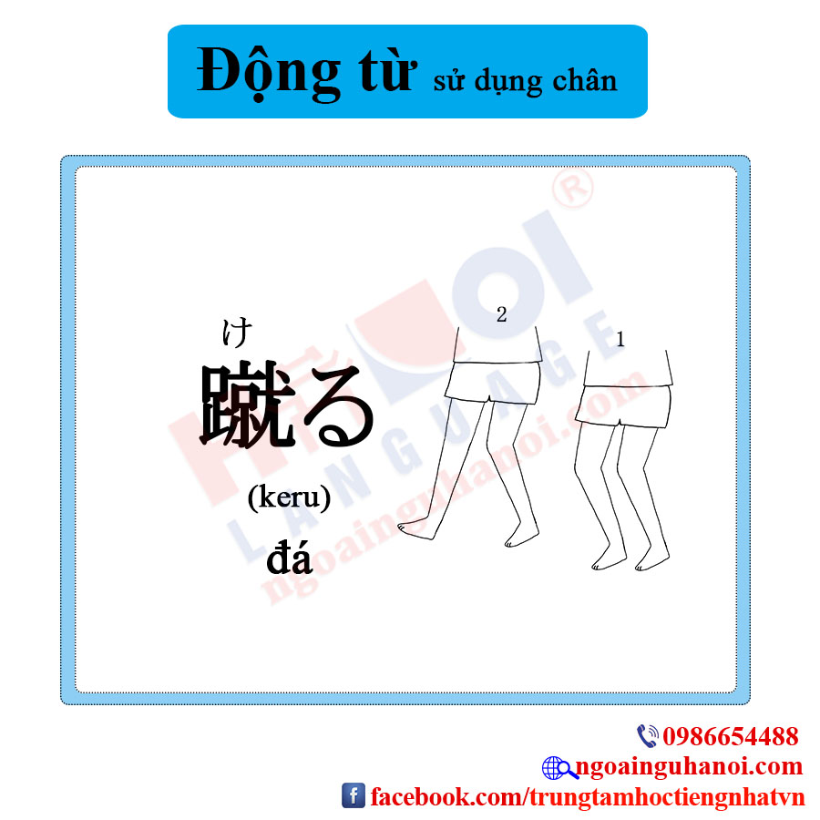 f:id:TrungTamTiengNhat:20201115114427j:plain