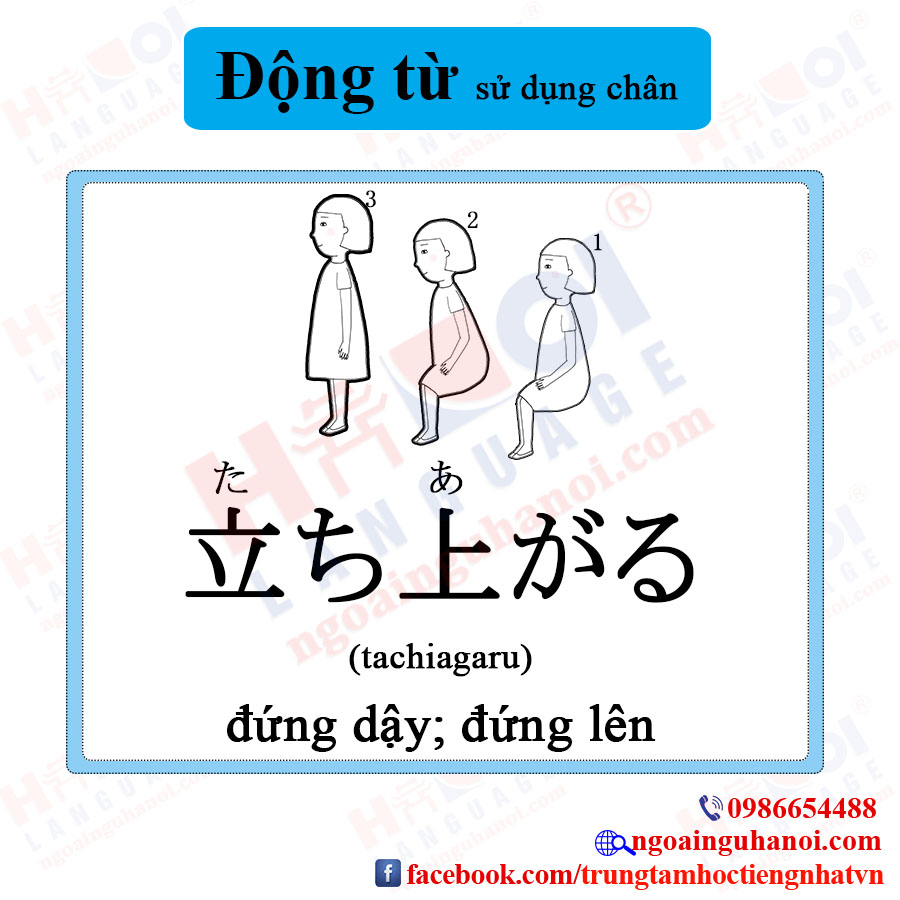 f:id:TrungTamTiengNhat:20201115114451j:plain