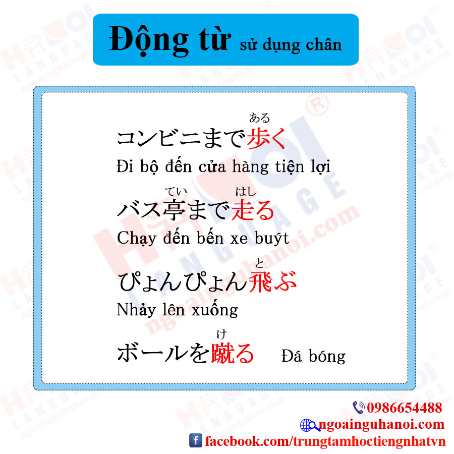 f:id:TrungTamTiengNhat:20201115114516j:plain