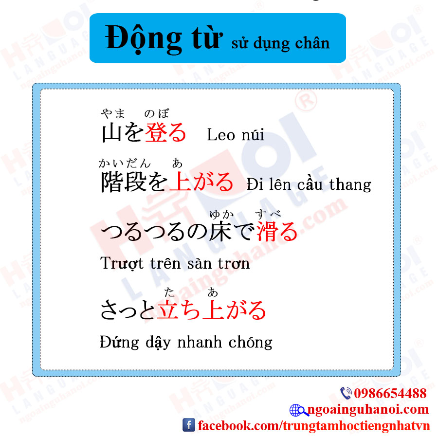 f:id:TrungTamTiengNhat:20201115114519j:plain
