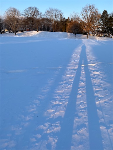 f:id:TsB:20210123081907j:image