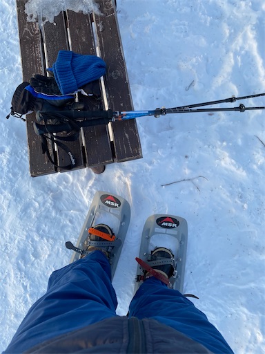 f:id:TsB:20210123082756j:image