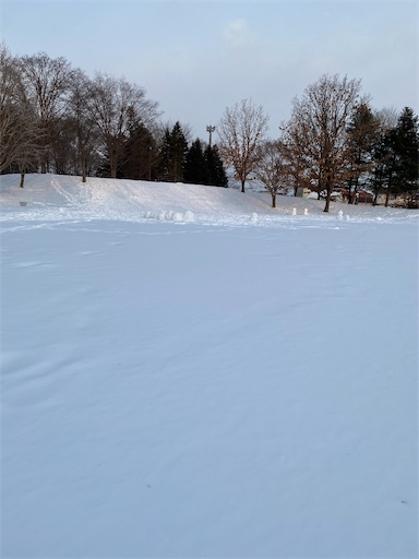 f:id:TsB:20210206073136j:image