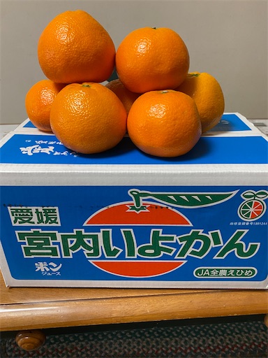 f:id:TsB:20210213074325j:image