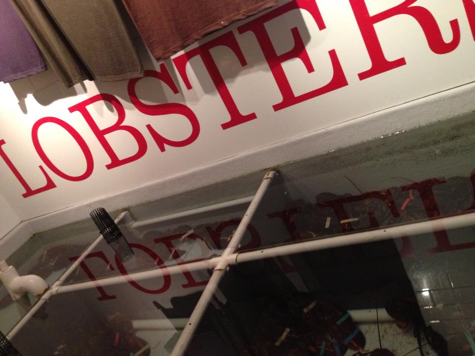 f:id:TsB:20210214190816j:plain