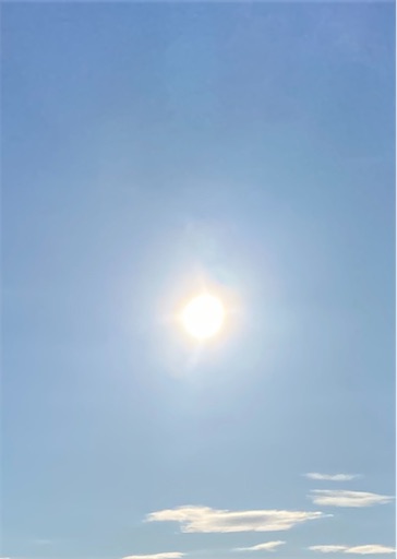 f:id:TsB:20210322082640j:image f:id:TsB:20210322082640j:image