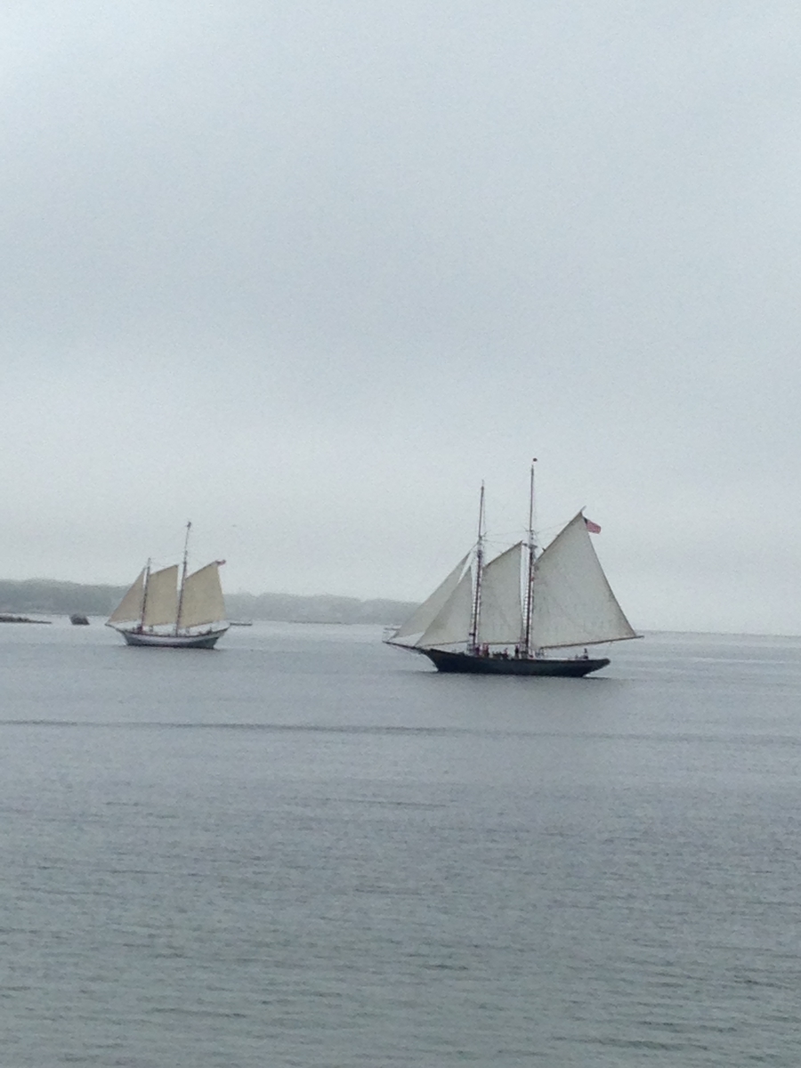 f:id:TsB:20210410191619j:plain