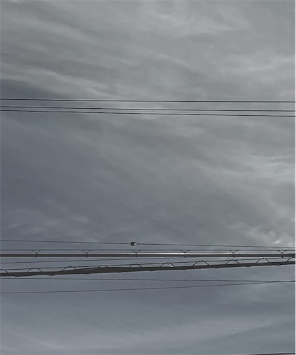 f:id:TsB:20210517080501j:image f:id:TsB:20210517080501j:image