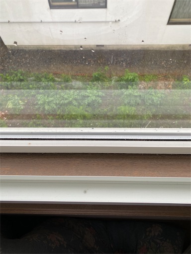 f:id:TsB:20210918080020j:image f:id:TsB:20210918080020j:image