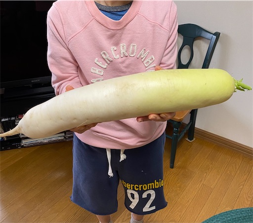 f:id:TsB:20210918081047j:image f:id:TsB:20210918081047j:image