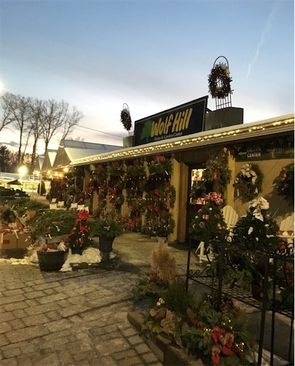 f:id:TsB:20221129175019j:image