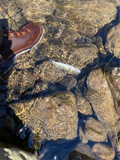 f:id:TsB:20240709091054j:image f:id:TsB:20240709091054j:image