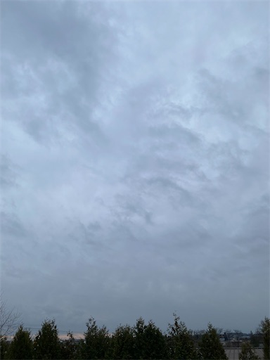 f:id:TsB:20241122075448j:image