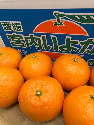 f:id:TsB:20250216085334j:image