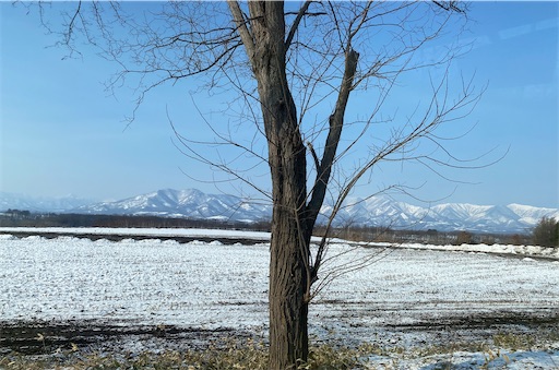 f:id:TsB:20260320083001j:image
