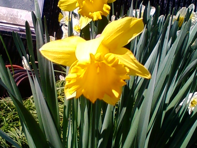 f:id:TsuSUZUKI:20110324190945j:image