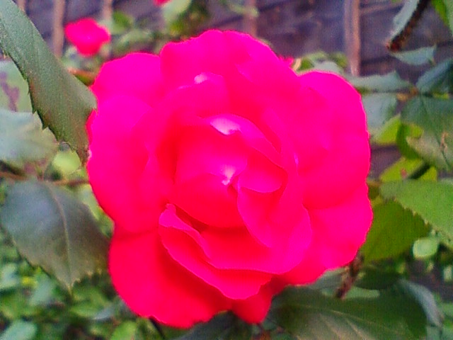 f:id:TsuSUZUKI:20110520010847j:image